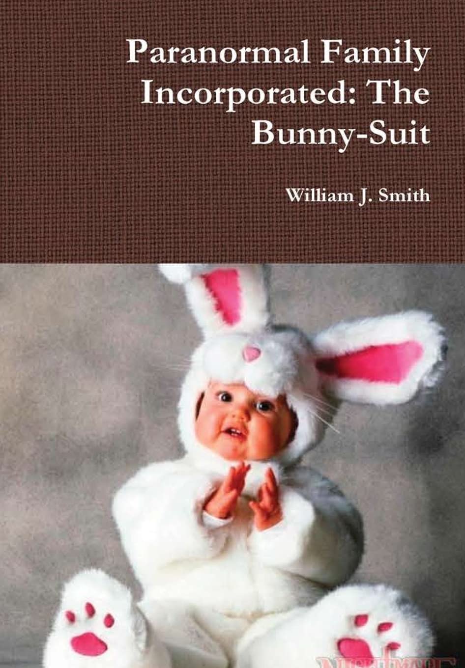 Paranormal Family Incorporated: The Bunny-Suit poster