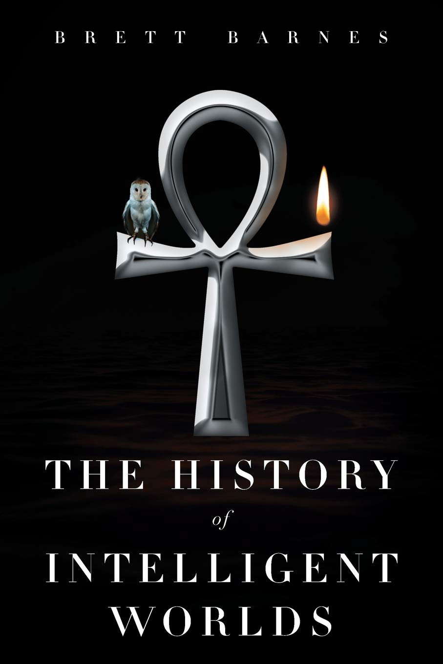 The History of Intelligent Worlds poster
