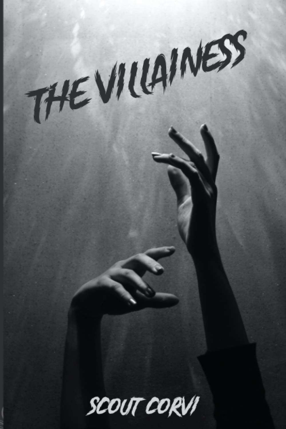 The Villainess (The Villainous Circle) poster