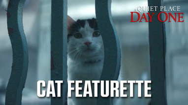 Cat Featurette poster
