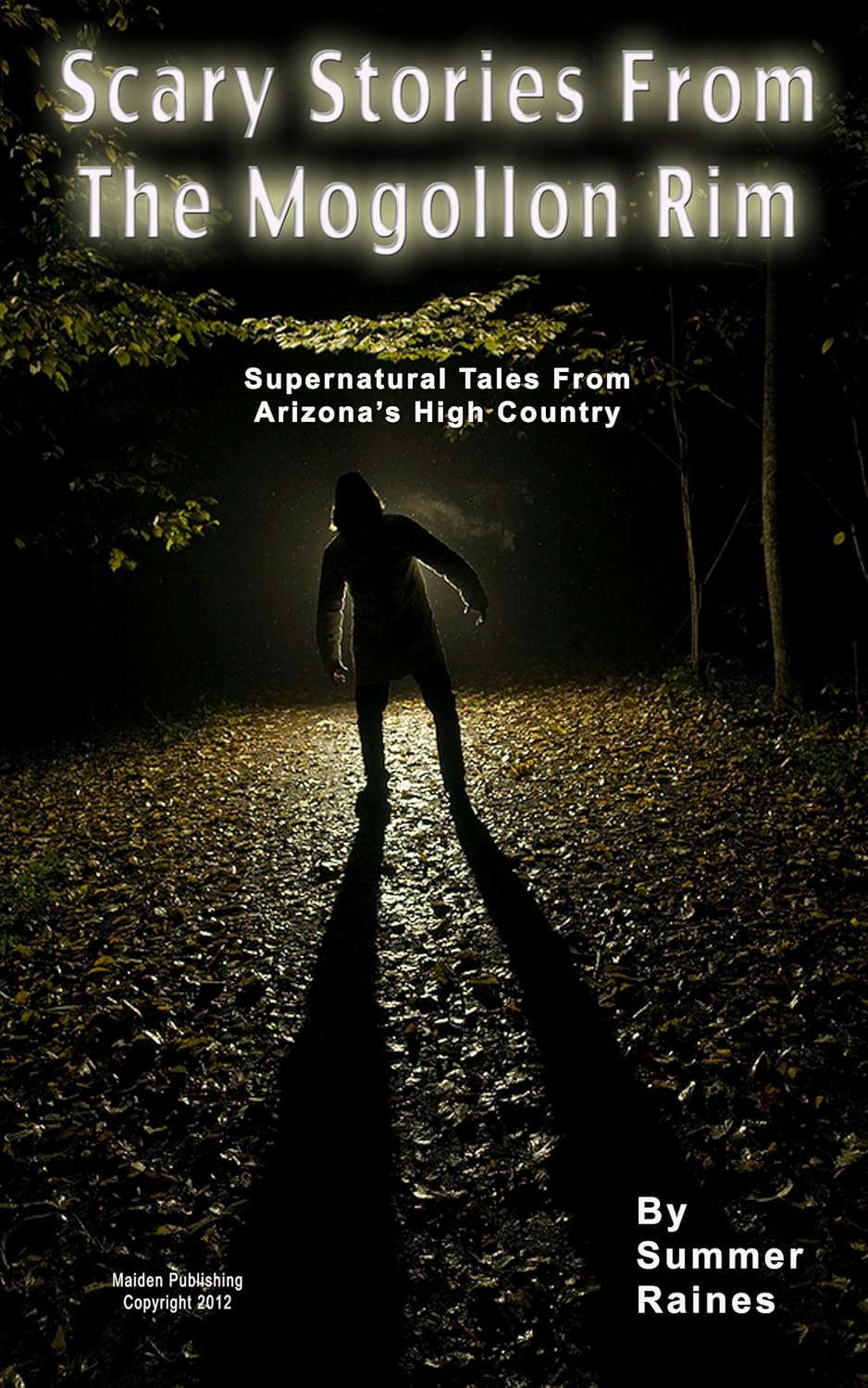 Scary Stories From the Mogollon Rim poster