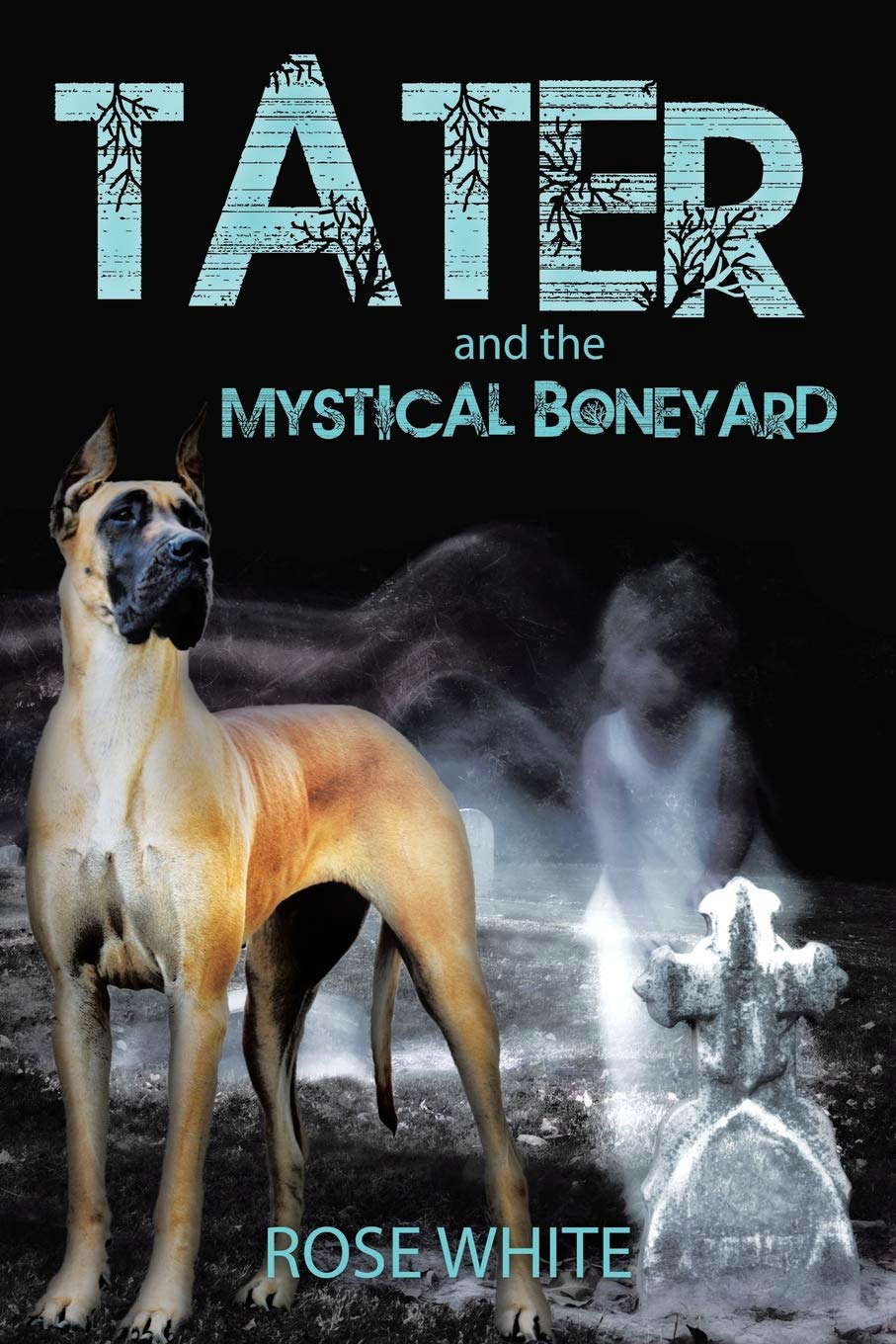 Tater and the Mystical Boneyard poster