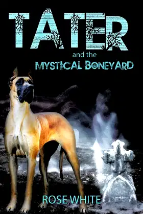 Tater and the Mystical Boneyard poster