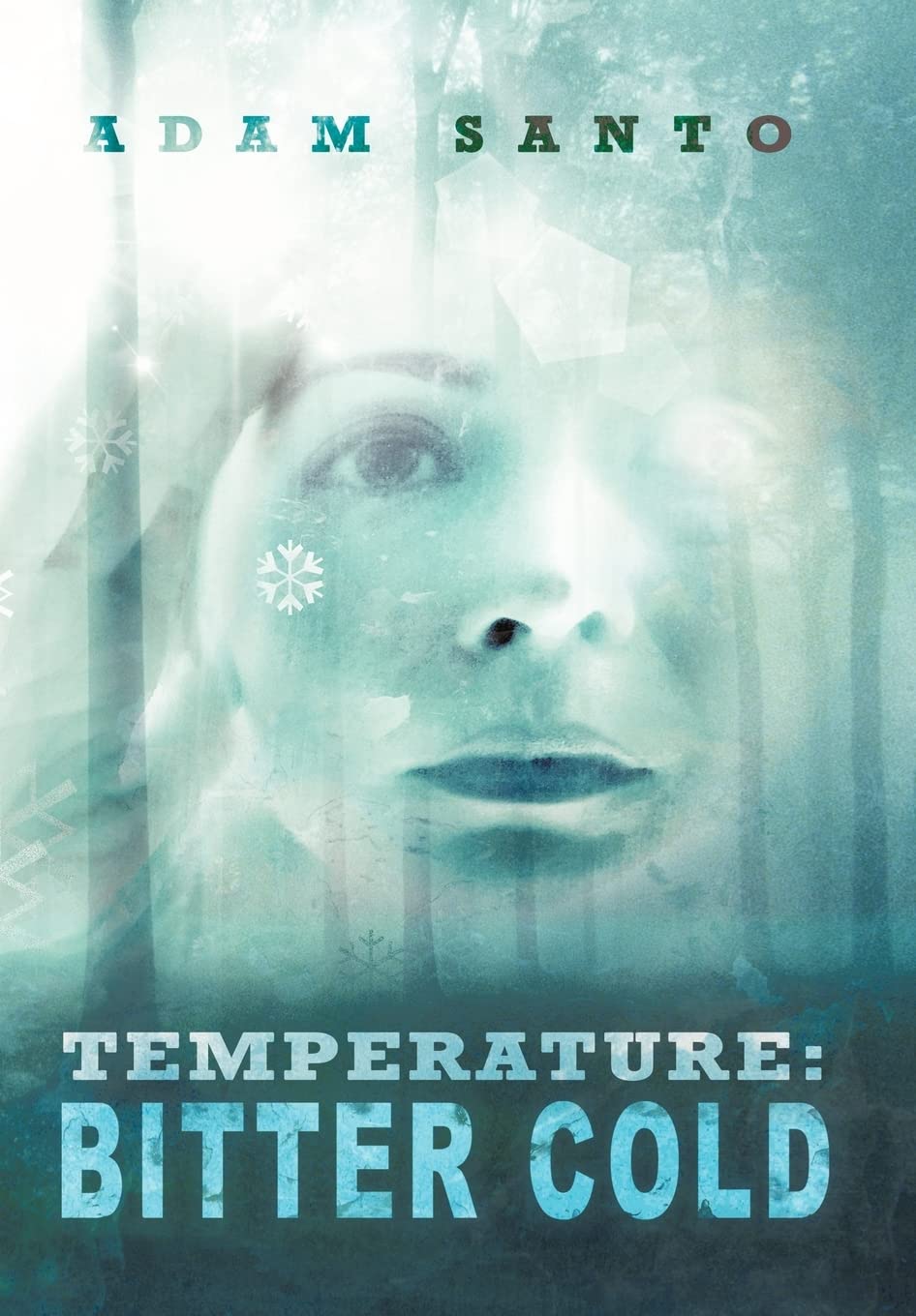 Temperature: Bitter Cold poster