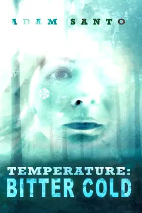 Temperature: Bitter Cold poster