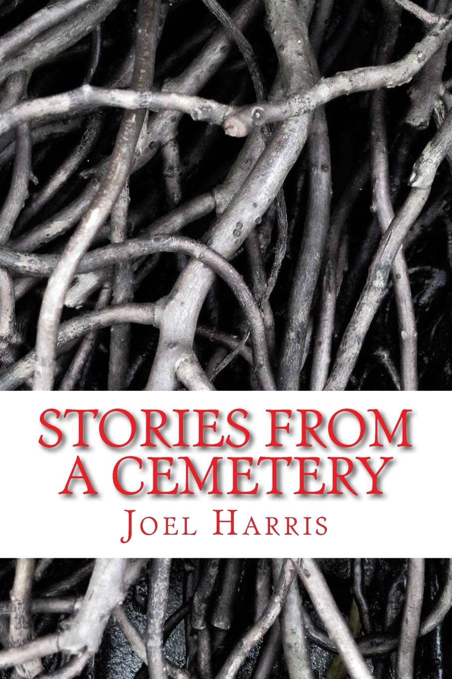 Stories From A Cemetery poster
