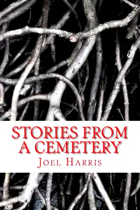 Stories From A Cemetery poster