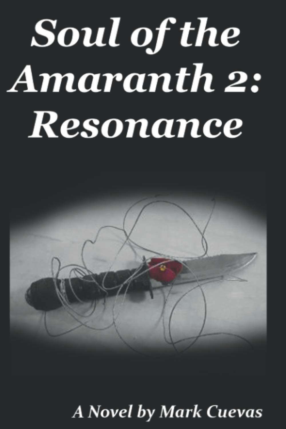 Soul of the Amaranth 2: Resonance poster