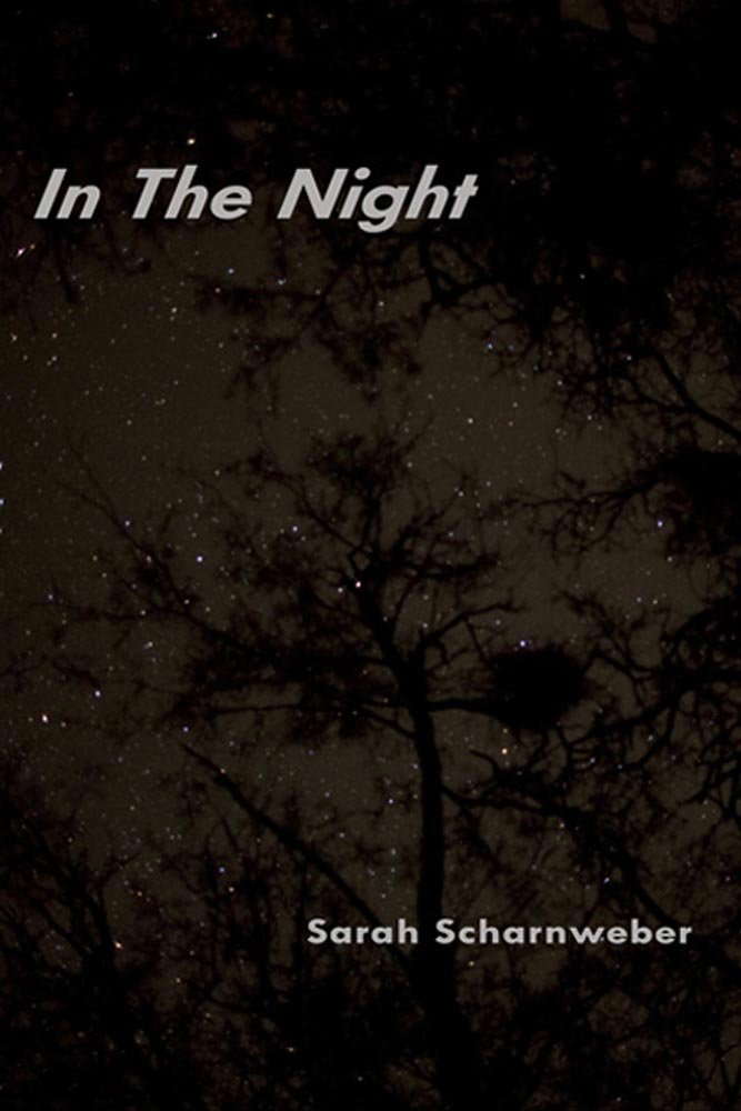 In The Night poster