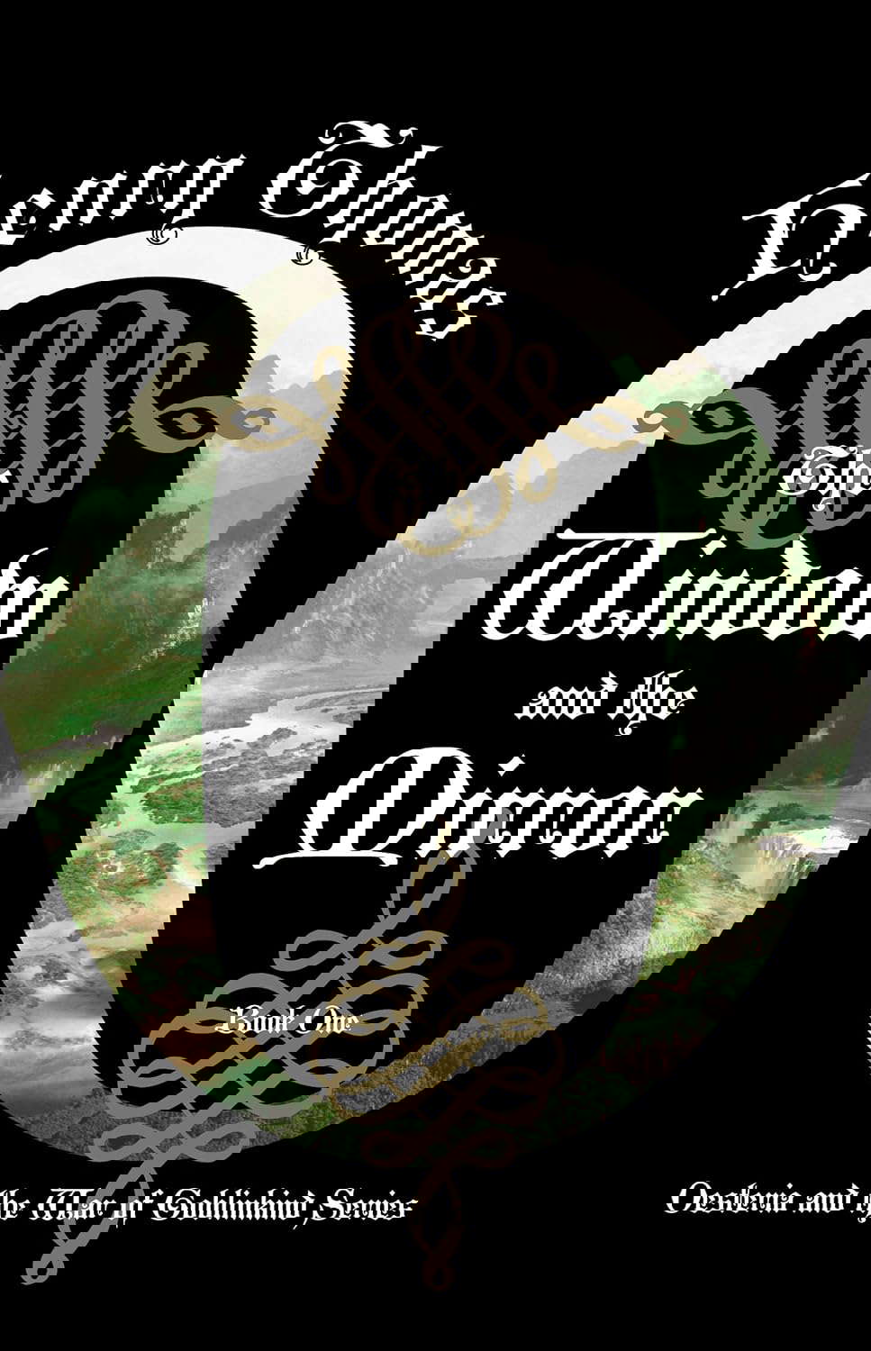 The Window and the Mirror: Book One: Oesteria and the War of Goblinkind poster