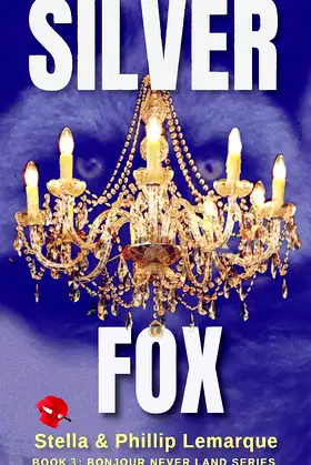 Silver Fox: ghosts galore (Bonjour Never Land Book 3) poster