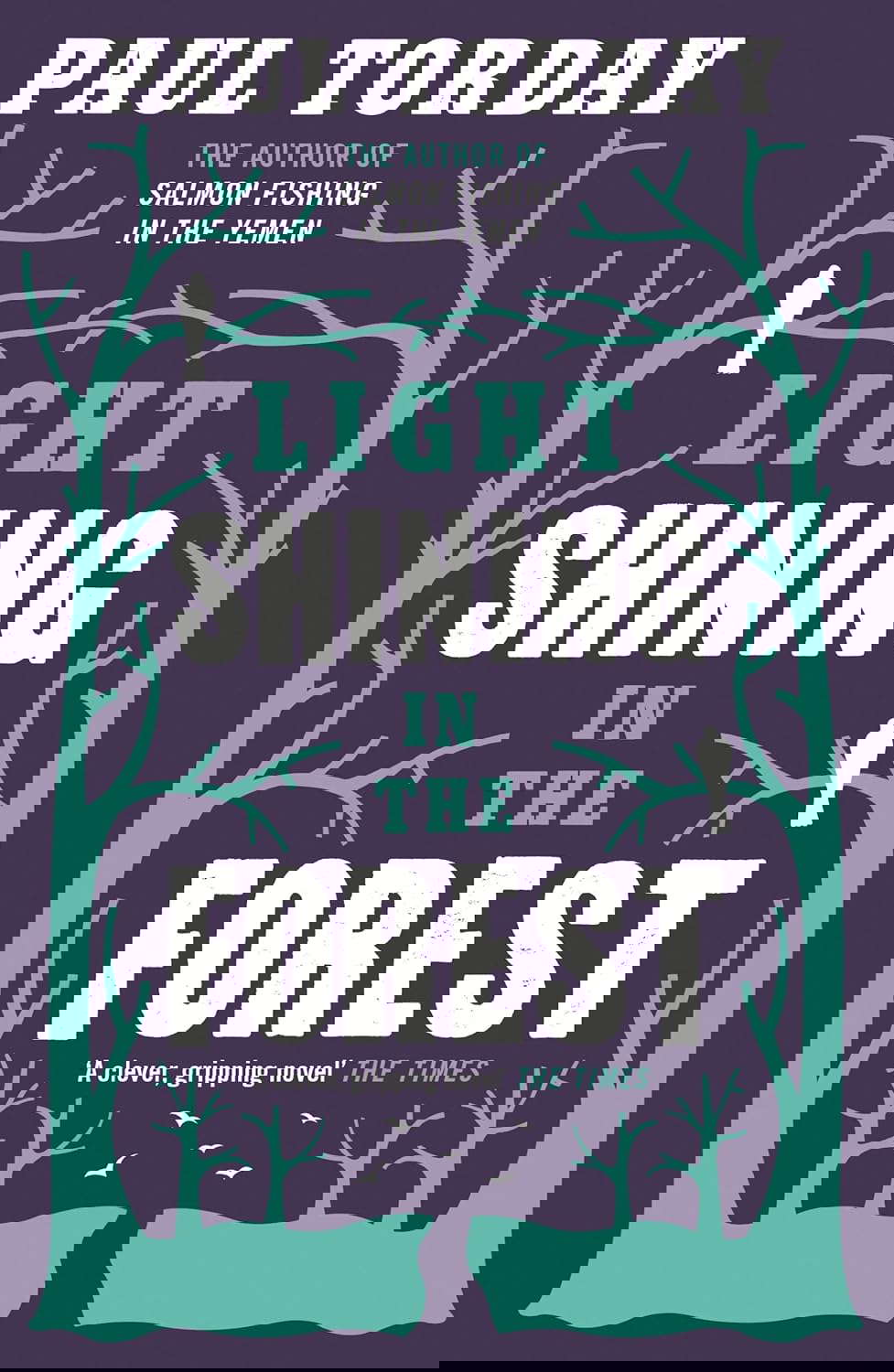 Light Shining in the Forest poster