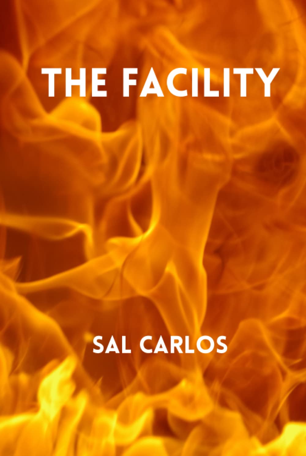 The Facility: A Short Story poster