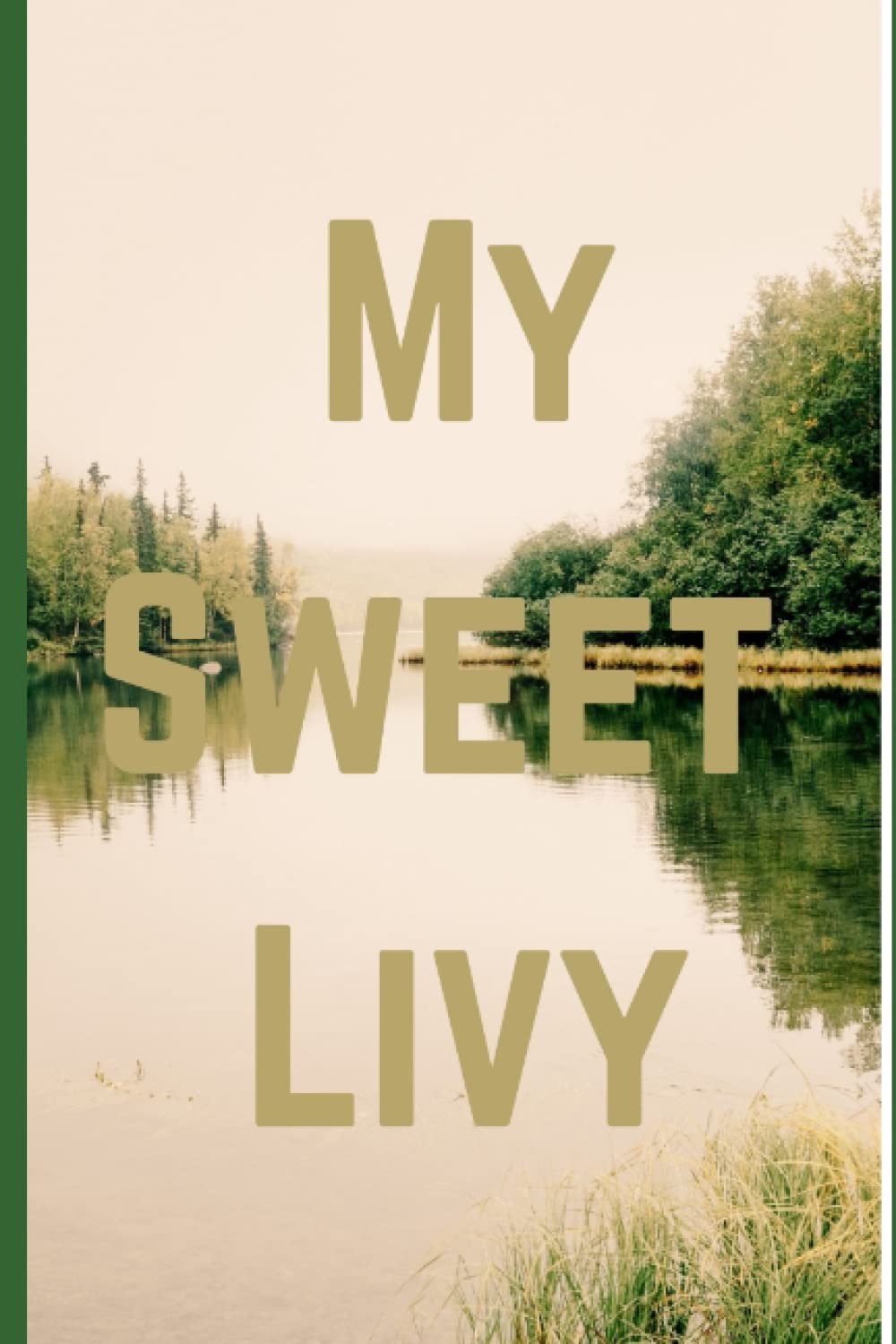 My Sweet Livy poster