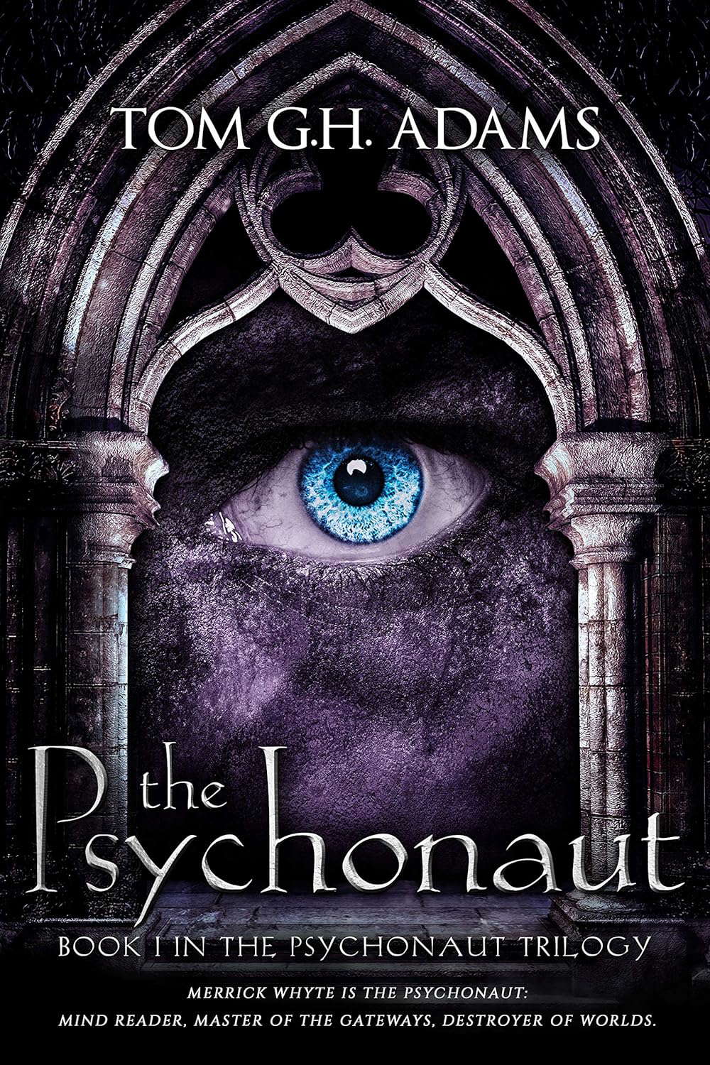 The Psychonaut: Book 1 in the Psychonaut Trilogy poster