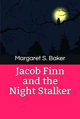 Jacob Finn and the Night Stalker poster