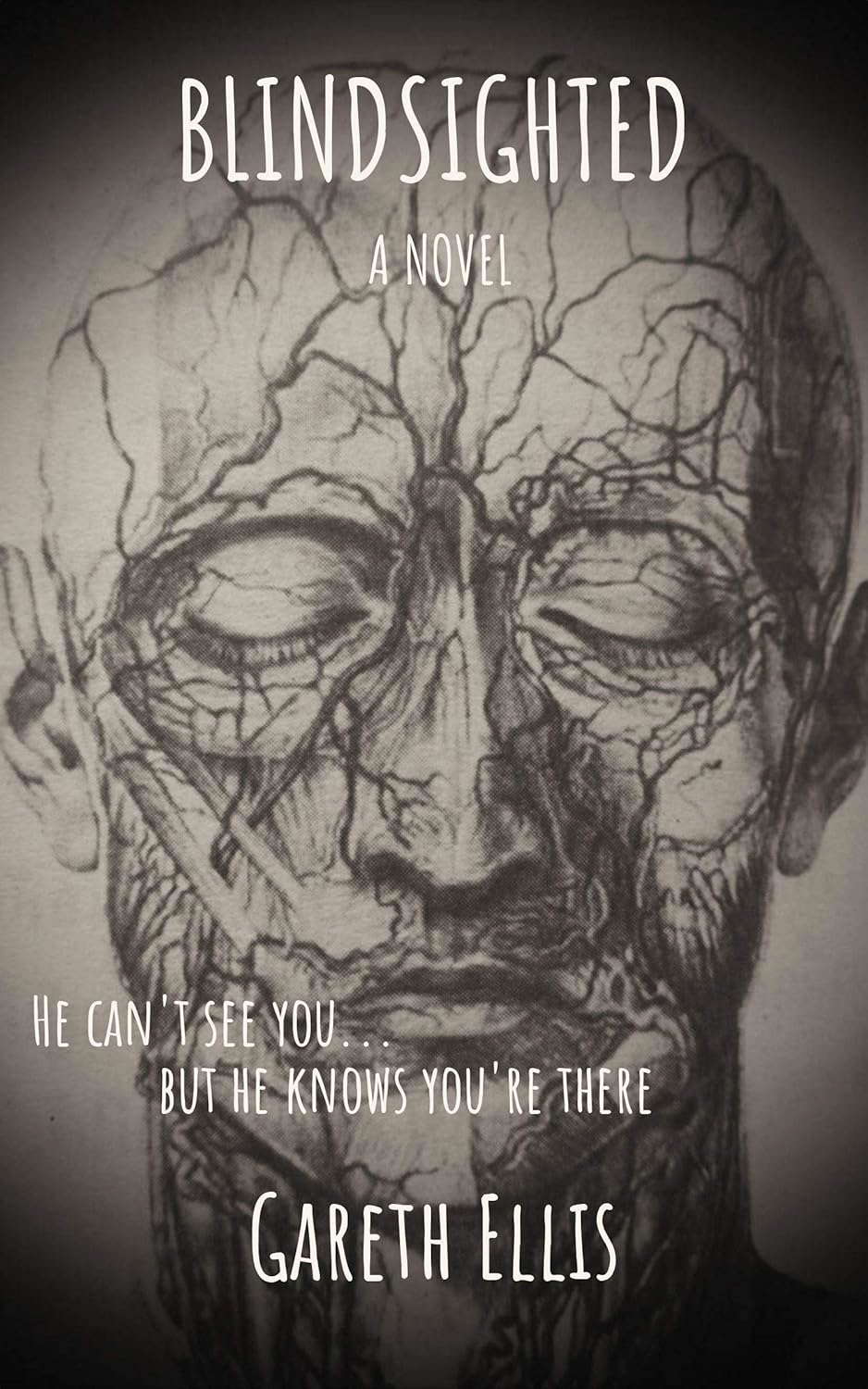 Blindsighted poster