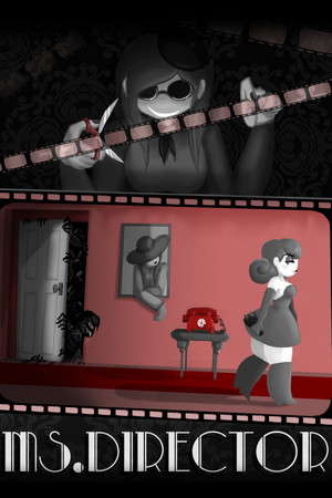 Ms.Director poster