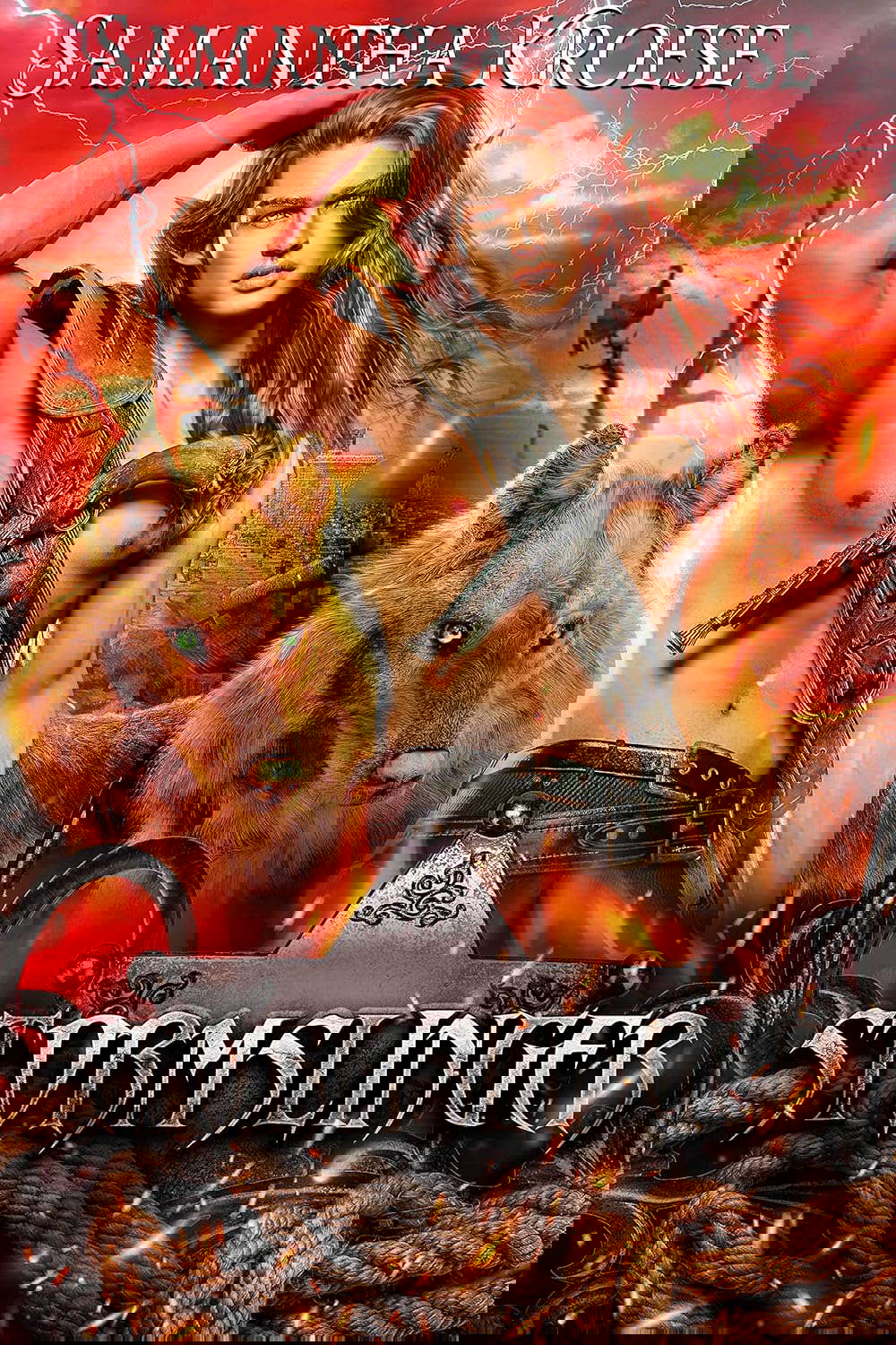 Stormslinger poster