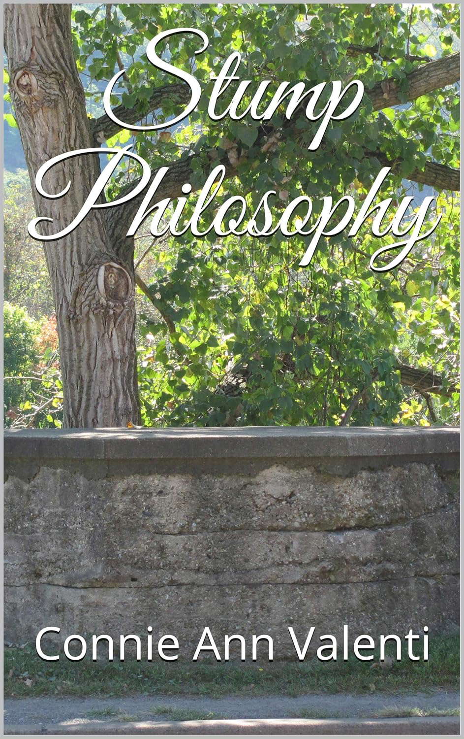 Stump Philosophy (Philosophy eBook Series 12) poster