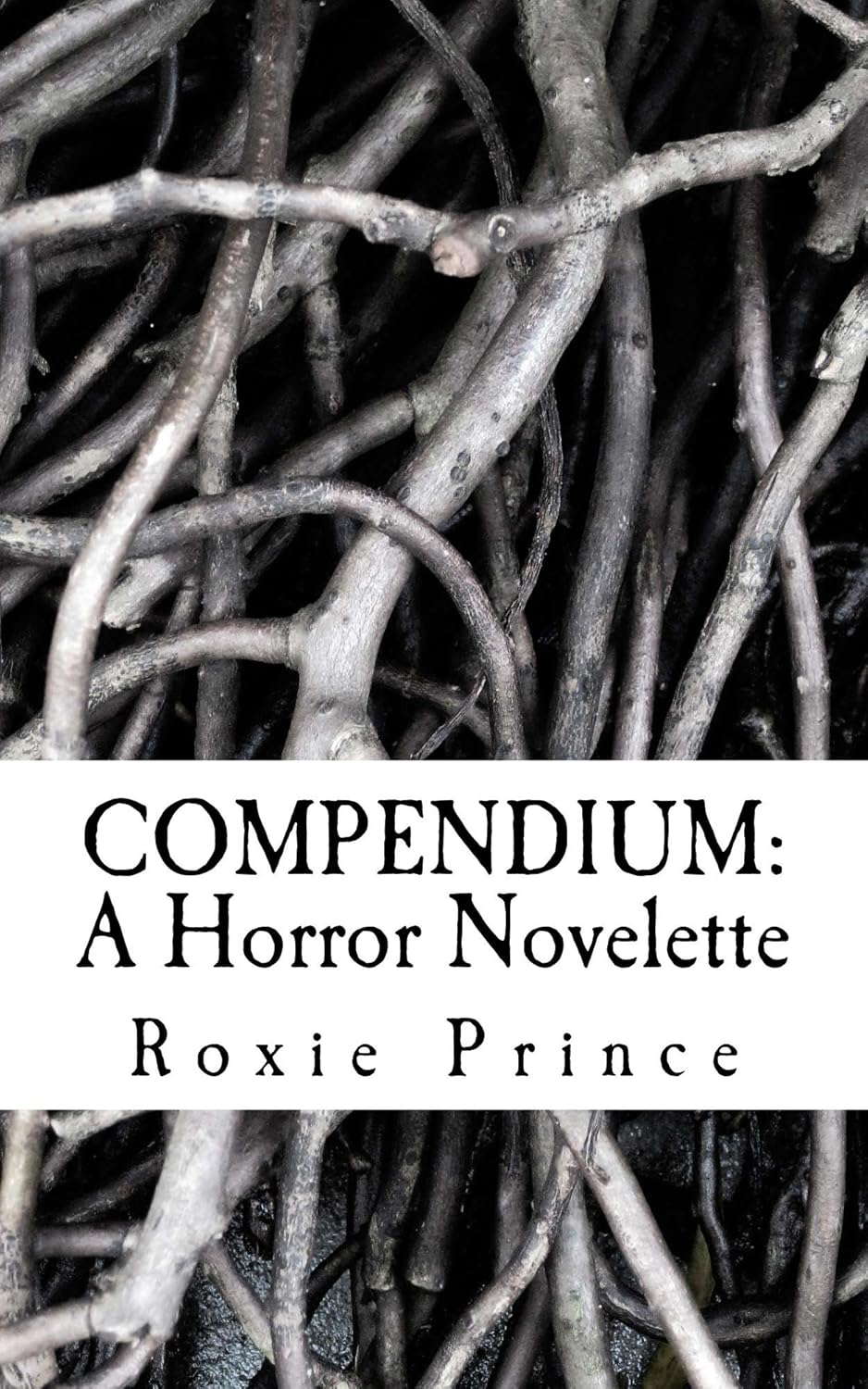COMPENDIUM: A Horror Novelette poster