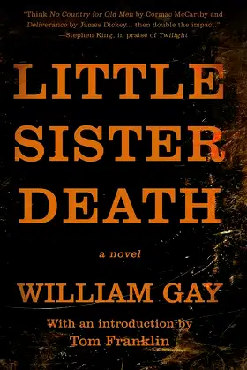 Little Sister Death: A Novel poster