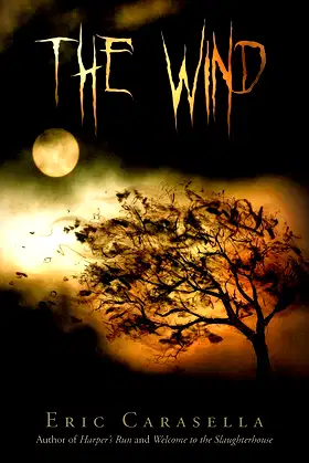 The Wind poster