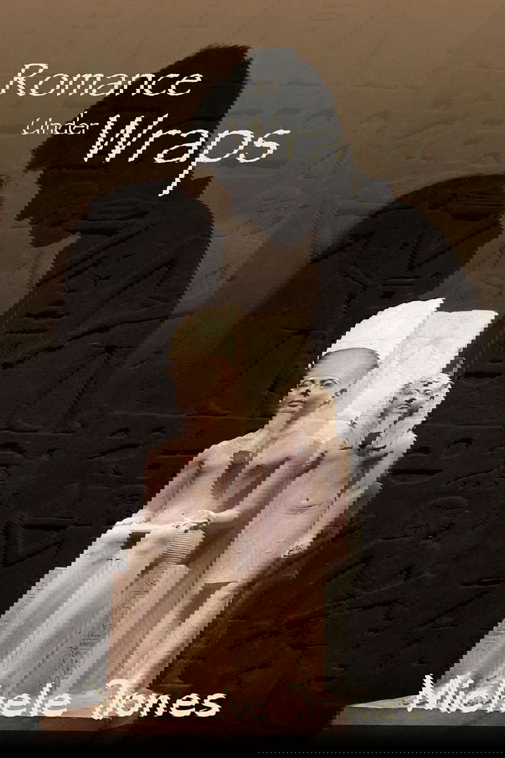 Romance Under Wraps poster