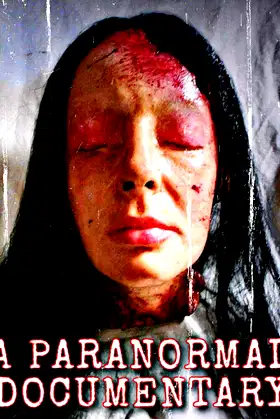 A Paranormal Documentary poster