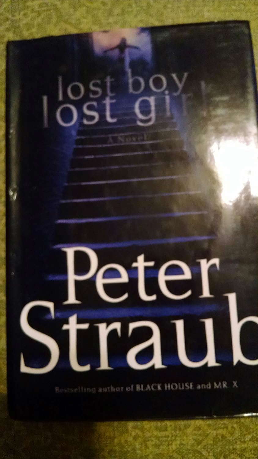 lost boy lost girl: A Novel poster