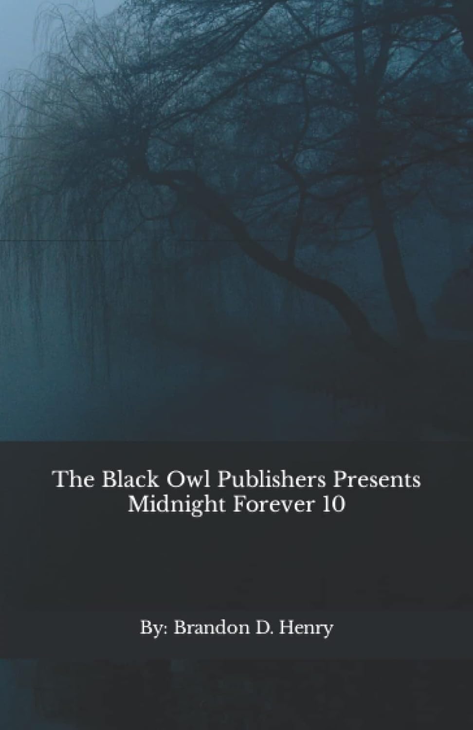 The Black Owl Publishers Presents Midnight Forever 10 poster