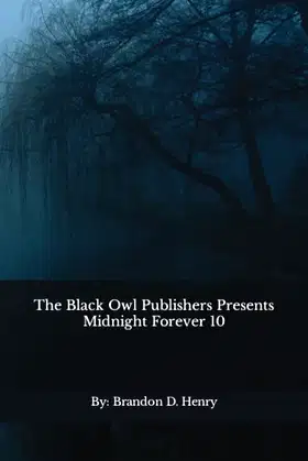 The Black Owl Publishers Presents Midnight Forever 10 poster