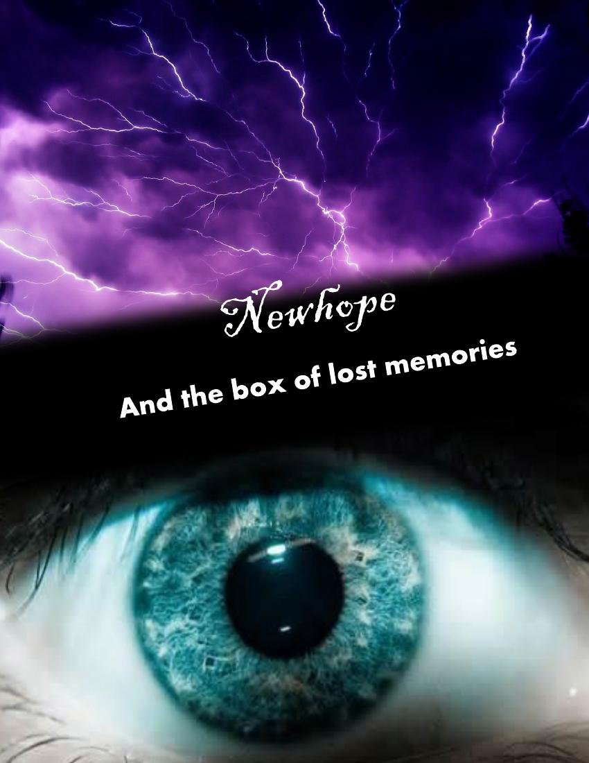 Newhope: and the box of lost memories poster