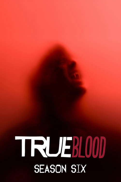 Season 6 poster