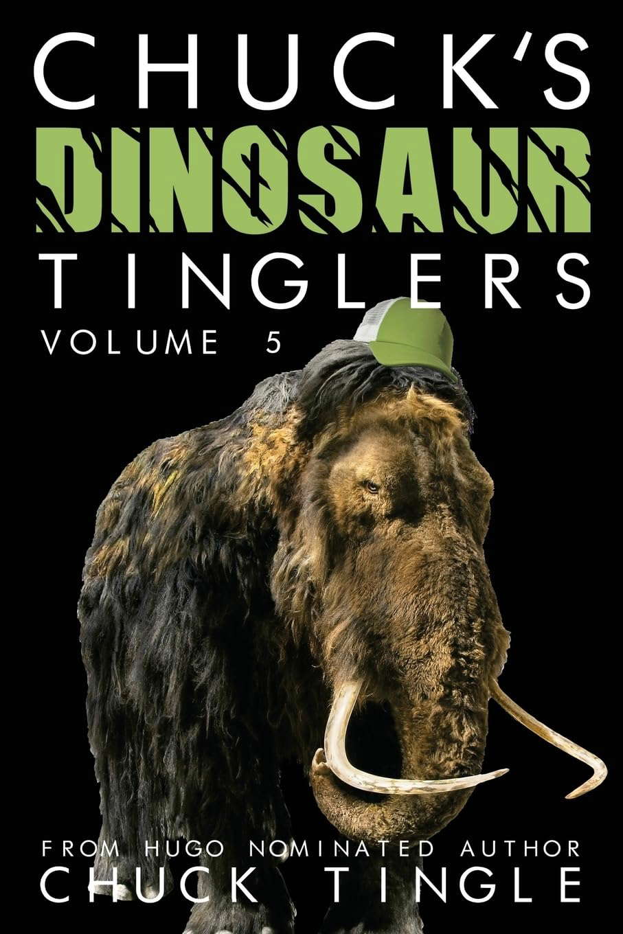 Chuck's Dinosaur Tinglers: Volume 5 poster