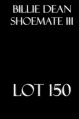Lot 150 poster