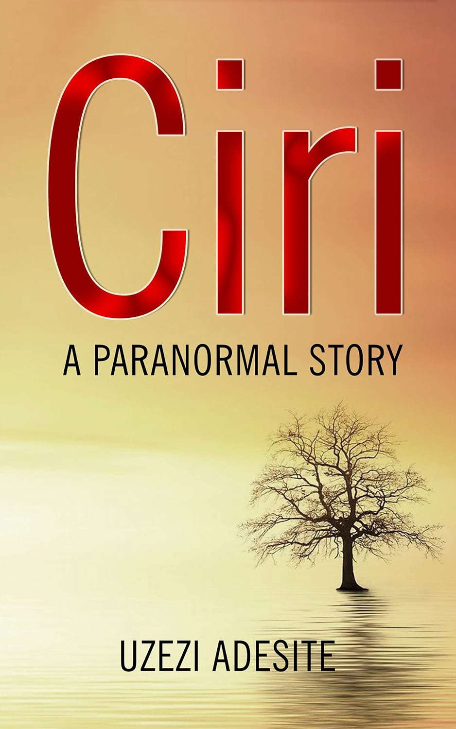 Ciri: A Paranormal Story poster