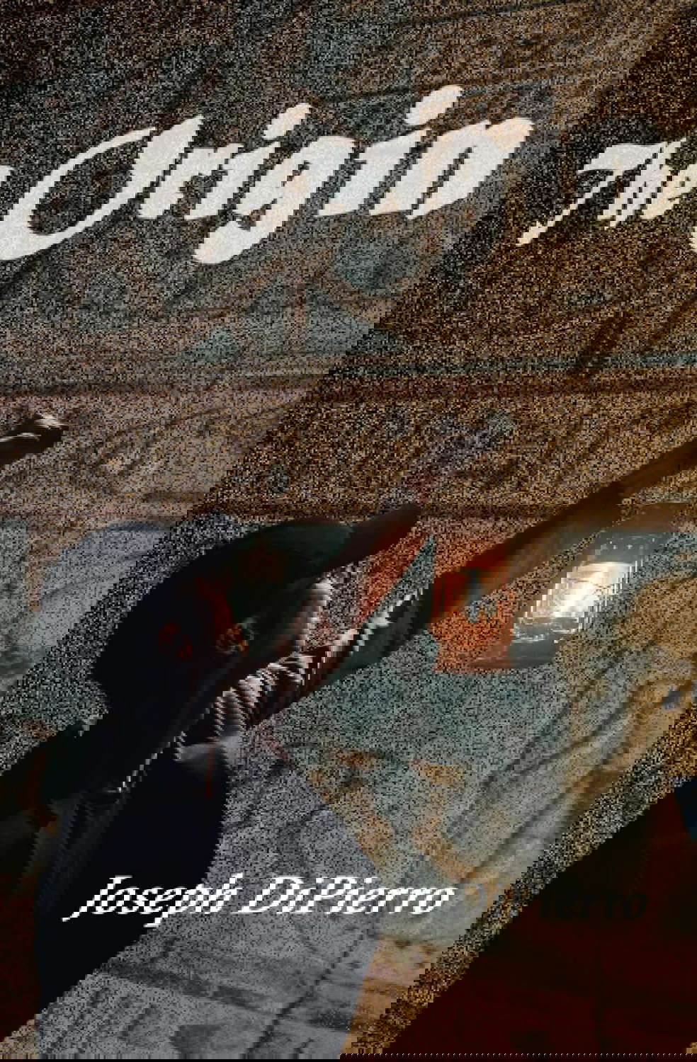 The Origin poster