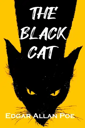 the black cat poster