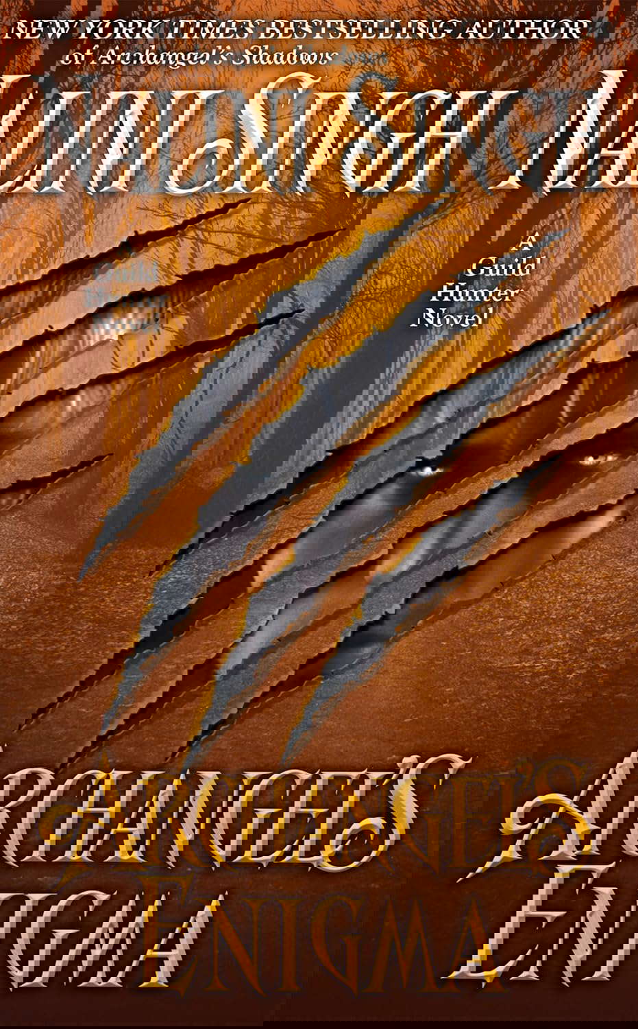 Archangel's Enigma (A Guild Hunter Novel) poster