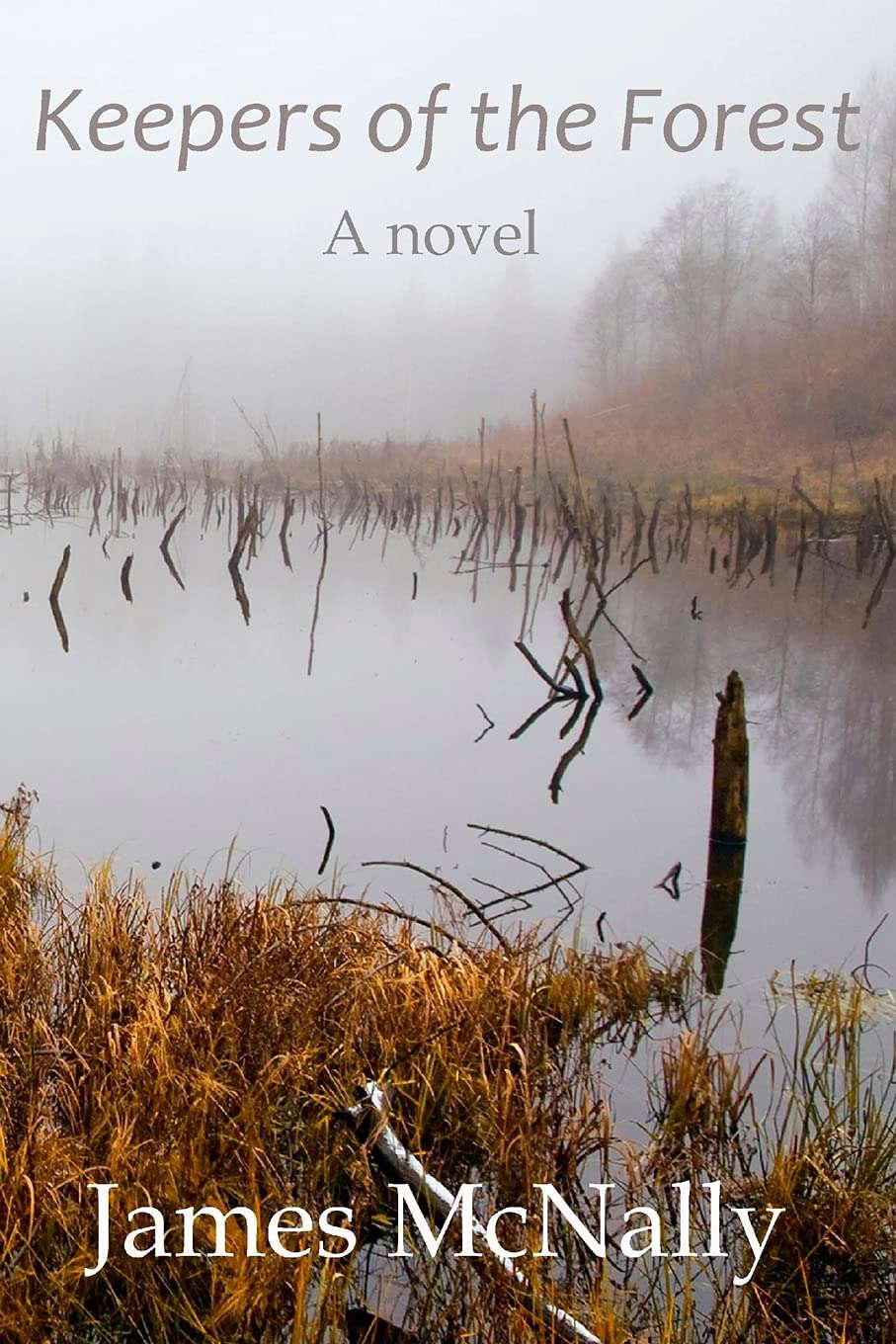 Keepers of the Forest: A Novel (Keepers Series) poster