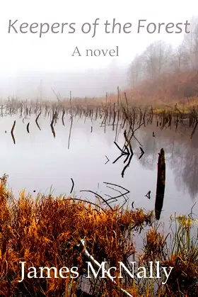 Keepers of the Forest: A Novel (Keepers Series) poster
