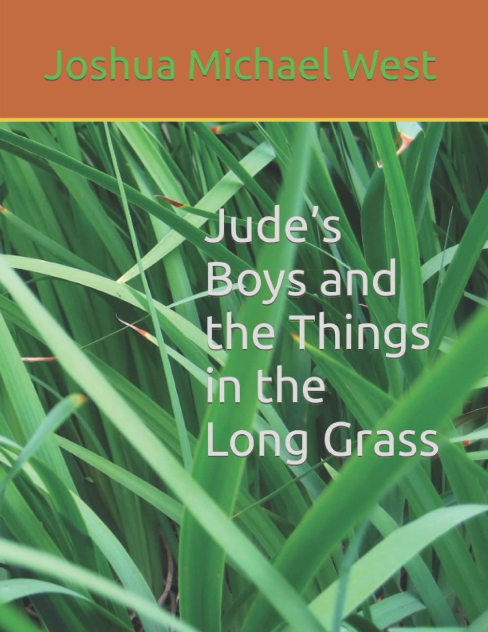 Jude’s Boys and the Things in the Long Grass poster
