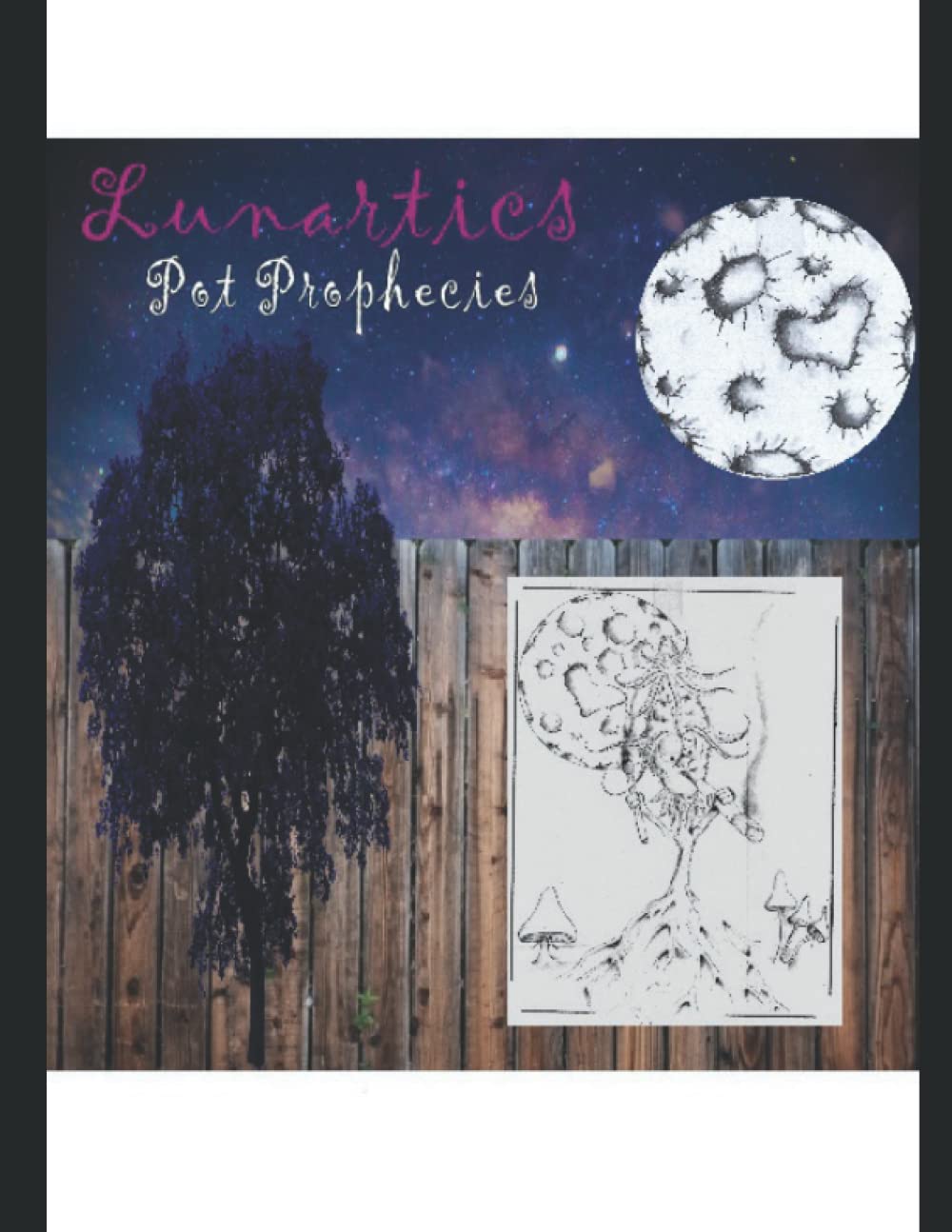 Lunartics: Pot Prophecies poster