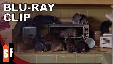 Willard (2003) - Clip: Packed Kitchen (HD) poster