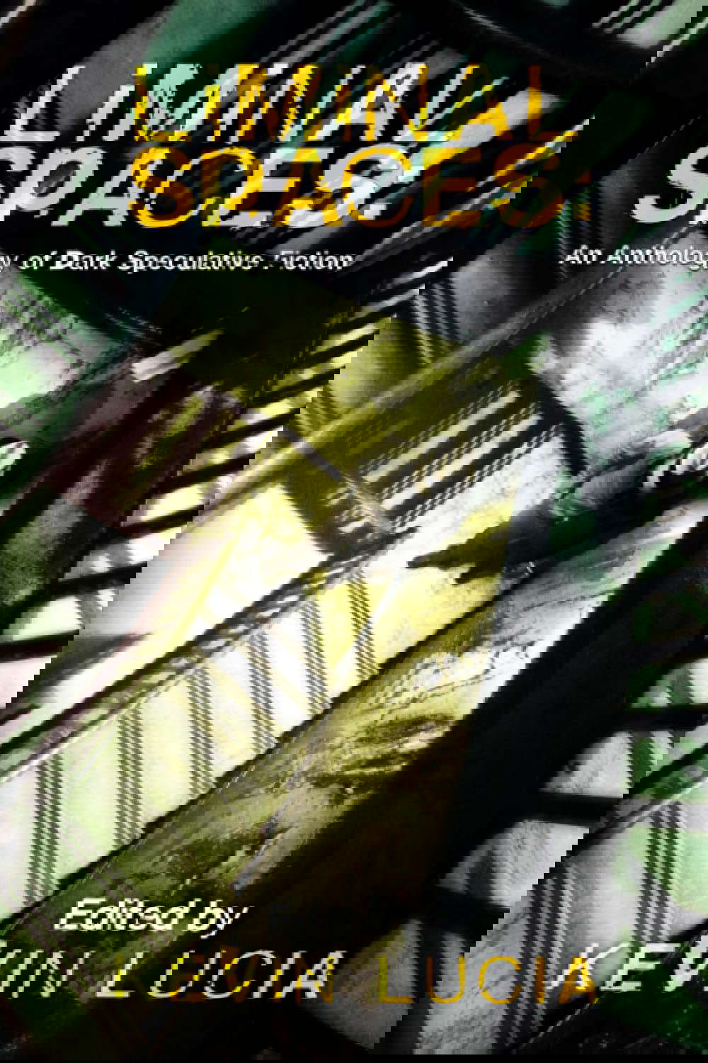 Liminal Spaces: An Anthology of Dark Speculative Fiction poster