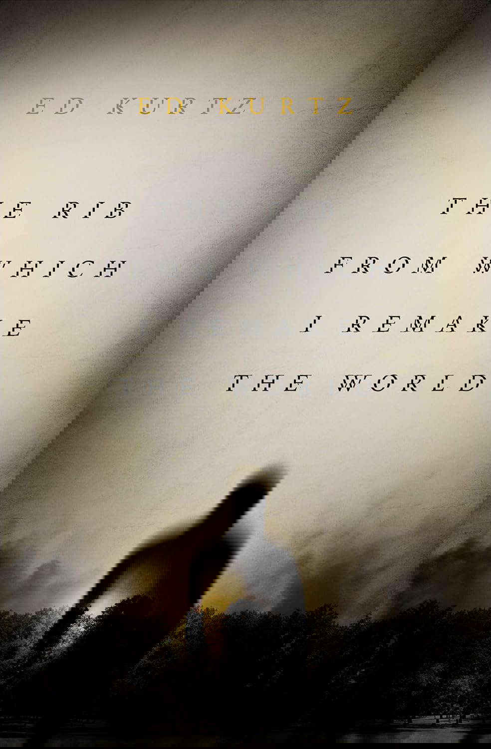 The Rib From Which I Remake the World poster