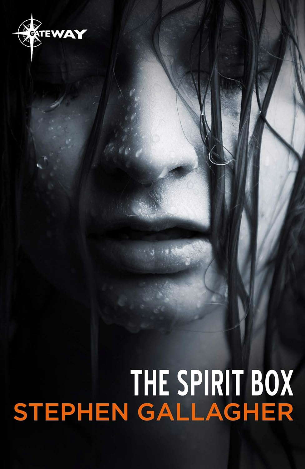 The Spirit Box poster