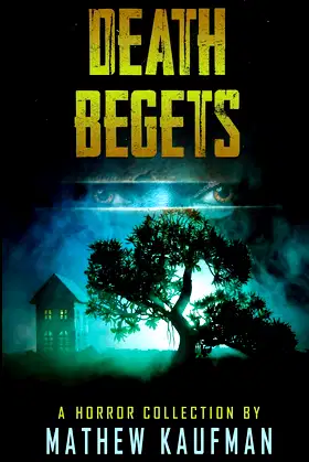 Death Begets poster