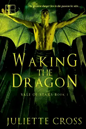 Waking the Dragon poster